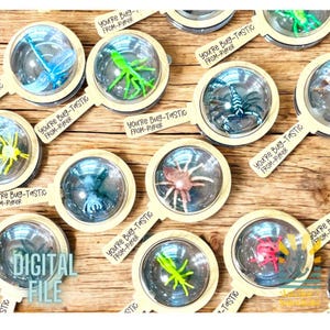 May include: A set of 10 printable bug-themed party favor tags. Each tag features a different bug in a clear circle with a wood-grain background. The tags say "You're Bug-Tastic From-Ryker".
