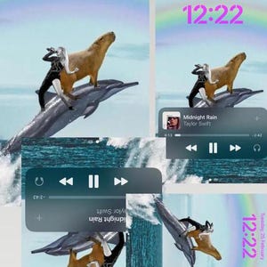Taylor Eras Lover Wallpaper with Capibara and Dolphin | Phone Wallpaper | Collage