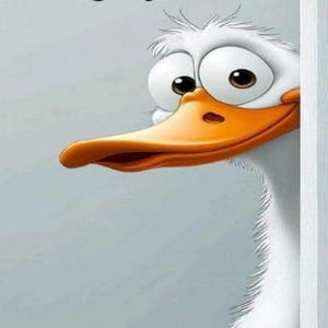 May include: A cartoon duck with big eyes peeks around a corner with a playful expression. The text above the duck reads "I'm sorry I called you OLD I thought you knew". Below the duck is the text "HAPPY BIRTHDAY".