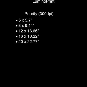 May include: A list of print sizes offered by LuminoPrint, with dimensions in inches. The sizes are 5 x 5.7 inches, 8 x 9.11 inches, 12 x 13.66 inches, 16 x 18.22 inches, and 20 x 22.77 inches. The print resolution is 300 dpi.