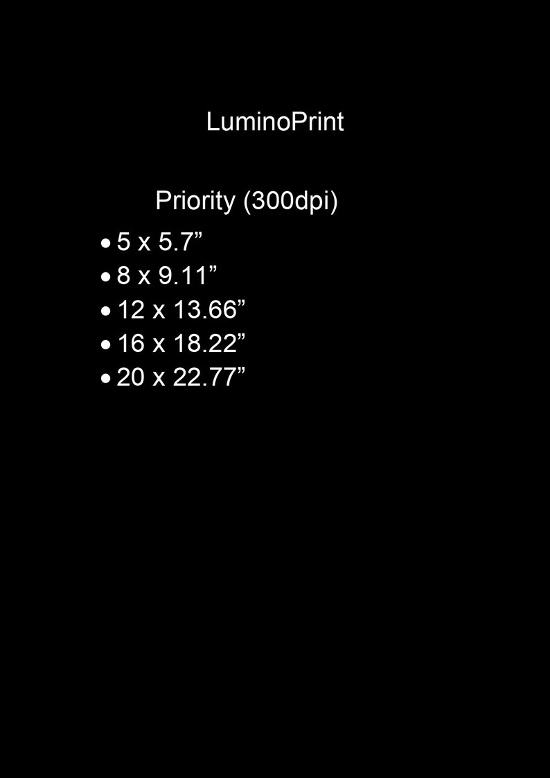 May include: A list of print sizes offered by LuminoPrint, with dimensions in inches. The sizes are 5 x 5.7 inches, 8 x 9.11 inches, 12 x 13.66 inches, 16 x 18.22 inches, and 20 x 22.77 inches. The print resolution is 300 dpi.