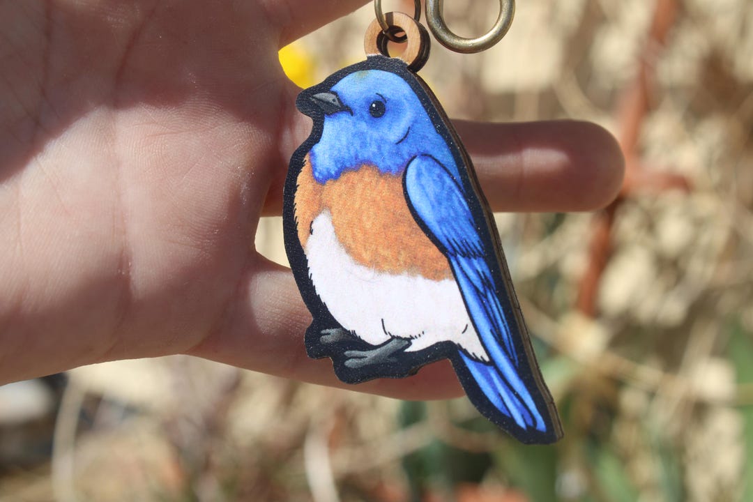 Eastern Bluebird Bird Wood Animal Keychain: Gift for Zookeepers ...