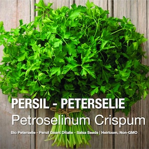Giant of Italy Peterseliezaden - Heirloom platbladig keukenkruid niet-ggo-vrij Eenjarig open bestoven