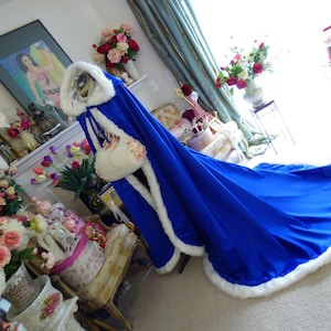 May include: A royal blue cloak with a white faux fur trim and hood. The cloak features a long train and a matching white purse with floral accents. The garment is displayed on a mannequin.