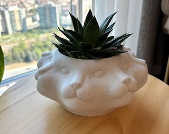 Multi-Face Cat Blumentopf | Dekorative Katzen Vase