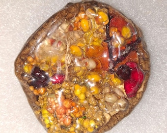 Real Forest Mushroom Pendant #25