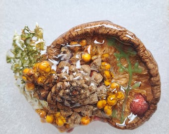 Real Forest Mushroom Pin #3