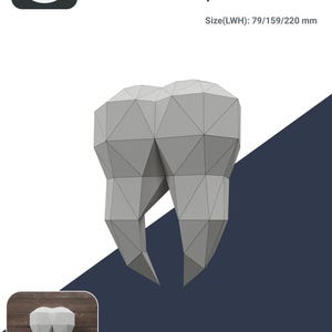 Trofeo mezzo dente di carta 3D – Arte di carta low poly, decorazione murale fai da te, modello di dente umano, modello digitale per la decorazione della casa. Dente molare