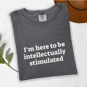 Intellectual Stimulation Unisex T-shirt, Thought-Provoking Tee, Brainy Graphic Shirt, Mindful Gift, Philosophical Clothing, Comfort Colors