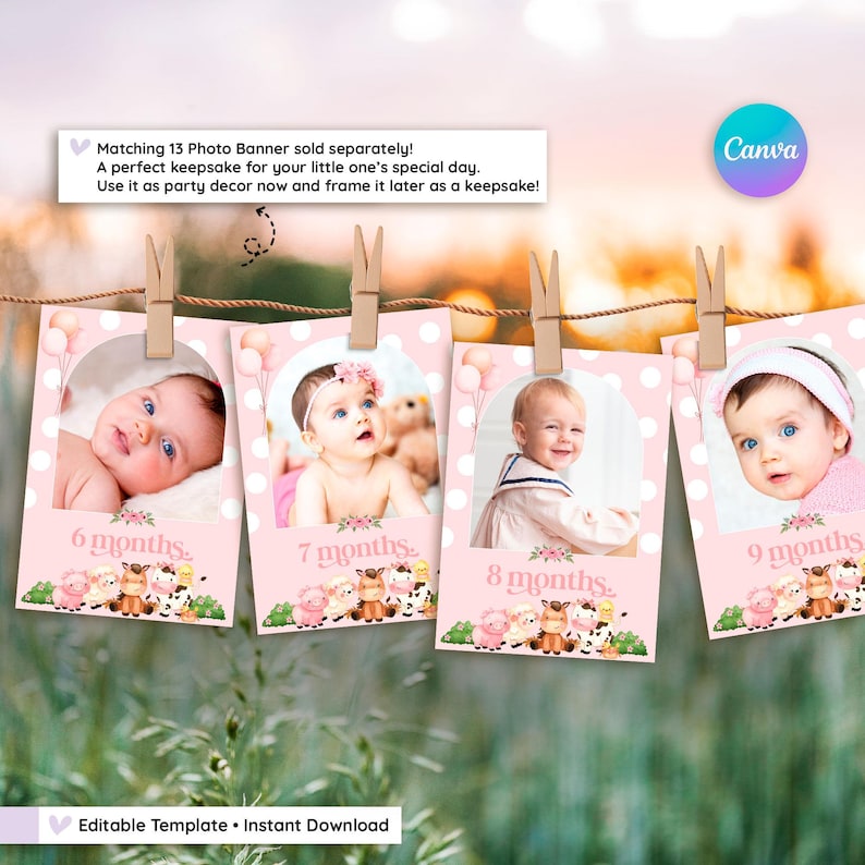 Pink farm animal monthly photo banner for baby girl – 13 editable milestone cards from newborn to one year – barnyard themed 1st birthday party decor with cute farm animals and soft pink balloons – Canva template, instant download, perfect for displaying monthly baby photos at a girl’s first birthday celebration or nursery keepsake.