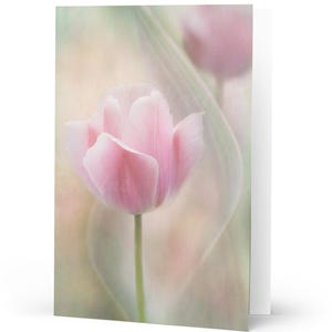 Tulipe gracieuse - Carte de voeux vierge