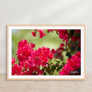 Watercolor Floral Photography | Tropical Pink Flower Decor & Botanical Wall Art for Nature Lovers