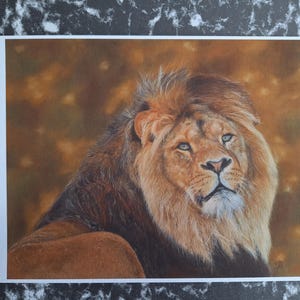 Lion print