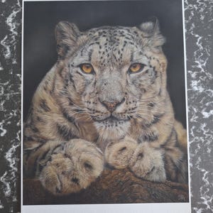 Snow leopard print