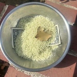 Money Rice