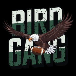 Philadelphia Football png
