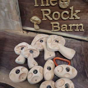 Rock Climbing Holds