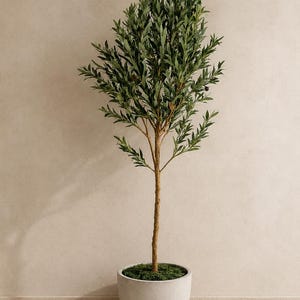May include: An artificial olive tree with a slender brown trunk and dense green foliage featuring small dark olives. The tree is planted in a smooth, light grey, rounded pot filled with green moss at the base, creating a tall, upright plant display.