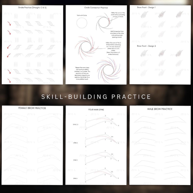 May include: A black and white printable worksheet for practicing microblading techniques. The worksheet includes sections for practicing straight strokes, curved strokes, circle connections, and different brow shapes. The worksheet is titled "Skill-Building Practice" and includes sections for female brow practice, four main spine practice, and male brow practice.