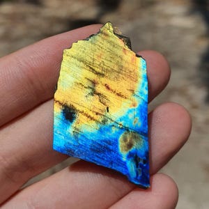 May include: A polished, irregular-shaped labradorite gemstone. The stone displays a vibrant color gradient, transitioning from a golden yellow at the top to a deep blue at the bottom. The gemstone is held in a hand, showcasing its natural beauty and unique patterns.