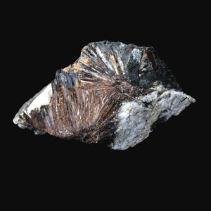 May include: A close-up of a mineral specimen against a black background. The mineral features a radiating, fan-like structure with bronze and brown hues, contrasted by areas of dark gray and white. The overall texture is rough and crystalline.