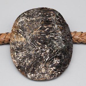 May include: Oval-shaped, dark brown pendant with a textured, layered appearance. The pendant is attached to a braided, light brown leather cord. The pendant's surface has a mix of dark and light reflective elements.
