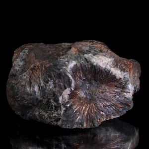 May include: A close-up of a rough, dark-colored mineral specimen. The stone has a mix of gray, brown, and white hues, with a radial pattern of metallic-looking crystals radiating from a central point. The background is black.