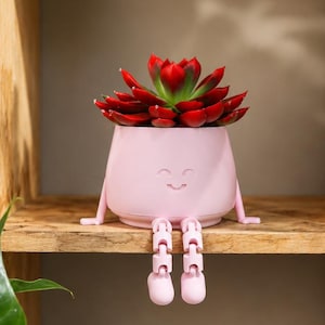 3D-geprinte plantenbak met beweegbare poten | Unieke bloempot | Bijzondere plantenpot | Woondecoratie | Origineel cadeau