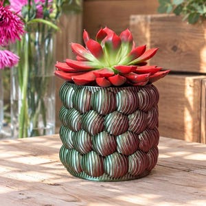 Peut inclure: Une plante succulente aux feuilles pointues rouge et vert vif est placée dans un pot cylindrique. Le pot présente un motif texturé et répétitif de formes arrondies rappelant des coquillages avec une finition métallique irisée vert et rouge.