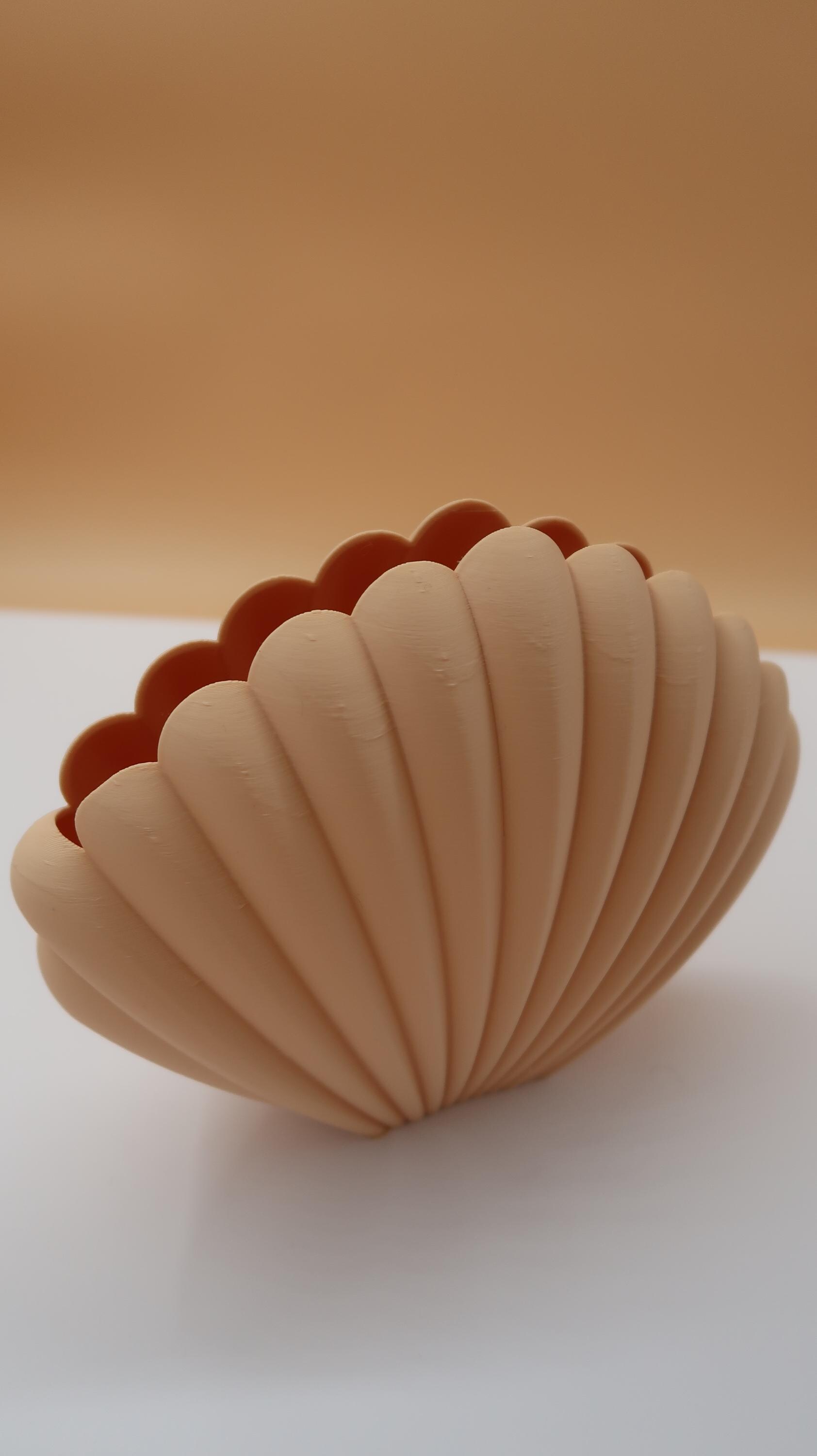 Shell Shape Vase Shell Shaped Vase | Pink Beige Decorative Vase | 3D Vase | Decoration ...