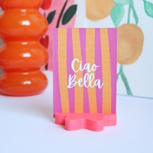 Polaroid-Fotohalter in Blumenform | Dekorativer Karten- oder Illustrationshalter | Bunter 3D-Druck | Farbenfrohe Geschenkidee