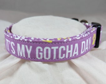 It's My Gotcha Day on purple pet, dog or cat collar.