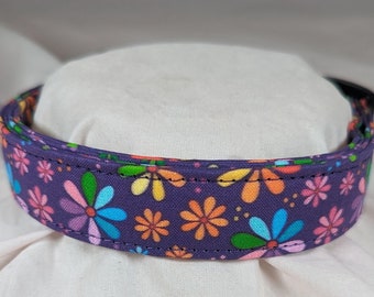 Rainbow Daisy Flowers on purple pet, dog or cat collar.