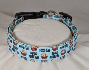 Stud Muffin pet, dog or cat collar.