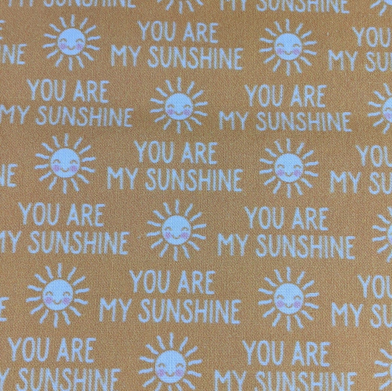 You are my Sunshine pet, dog or cat collar. image 6