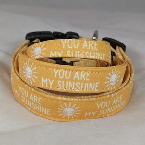 You are my Sunshine pet, dog or cat collar. image 5