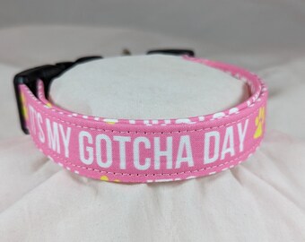 It's My Gotcha Day on pink pet, dog or cat collar.