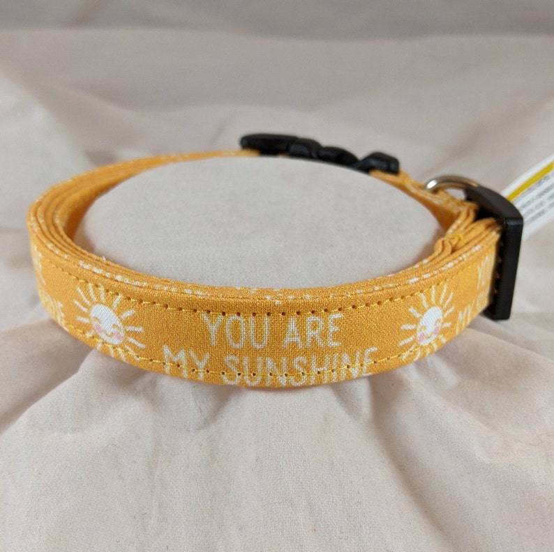 You are my Sunshine Haustier, Hunde, oder Katzen Halsband. Bild 3