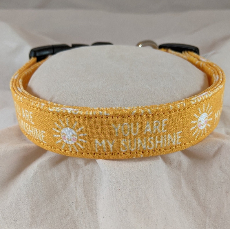 You are my Sunshine pet, dog or cat collar. image 1