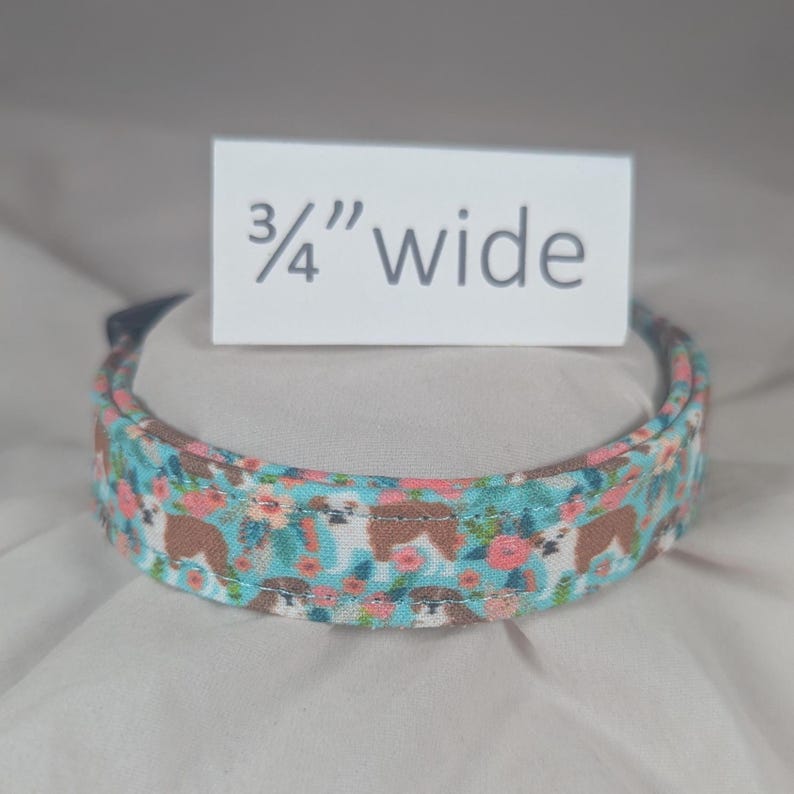 May include: A 3/4 inch wide dog collar with a floral pattern featuring small brown dogs on a light blue background.