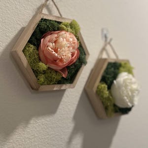 Preserved Moss Wall Art - Hexagon Wooden Floral Decor
