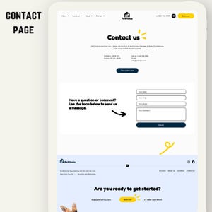 WordPress-tema för djuraffär, WooCommerce-mall för djuraffär, Elementor Pro-webbdesign för djurvård, webbplatsmall för hundtrimning och veterinärklinik bild 9