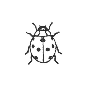 May include: A black and white line art illustration of a ladybug. The insect is depicted from a top-down perspective, featuring a rounded body with six legs, two antennae, and a series of circular spots distributed across its wing covers.