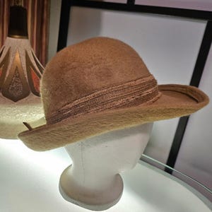May include: A brown felt hat with a wide brim and a brown braided band around the crown.