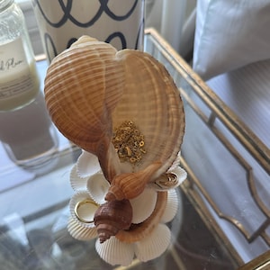 Shell Jewelry Holder