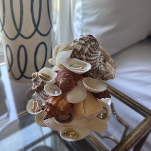 Shell Jewelry Holder