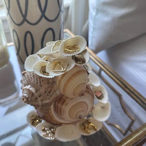 Shell Jewelry Holder