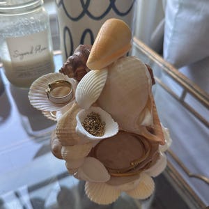 Shell Jewelry Holder