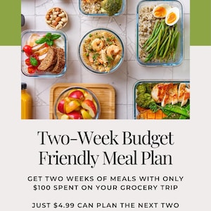 Two-Week Meal Plan - Budget-Friendly Recipes for Lunch and Dinner (Digital Download)