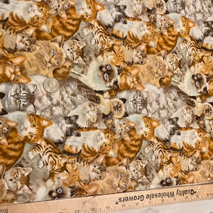 Kitten fabric, Packed Kittens, Petpourri fabric, adorable kittens, Cat fabric,  100% cotton quilting, sewing animal pet fabric